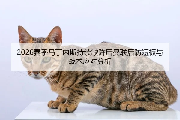 2026赛季马丁内斯持续缺阵后曼联后防短板与战术应对分析
